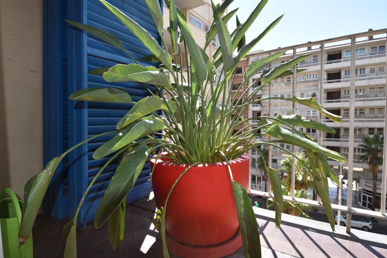Apartmán Le Gambetta Toulon Exteriér fotografie
